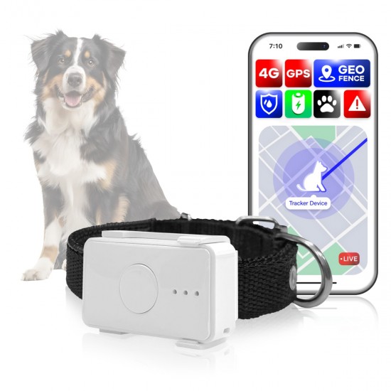 4G Outdoor Pet Dog GPS Tracker