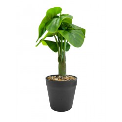 4K Spy Camera Plant Pot Device